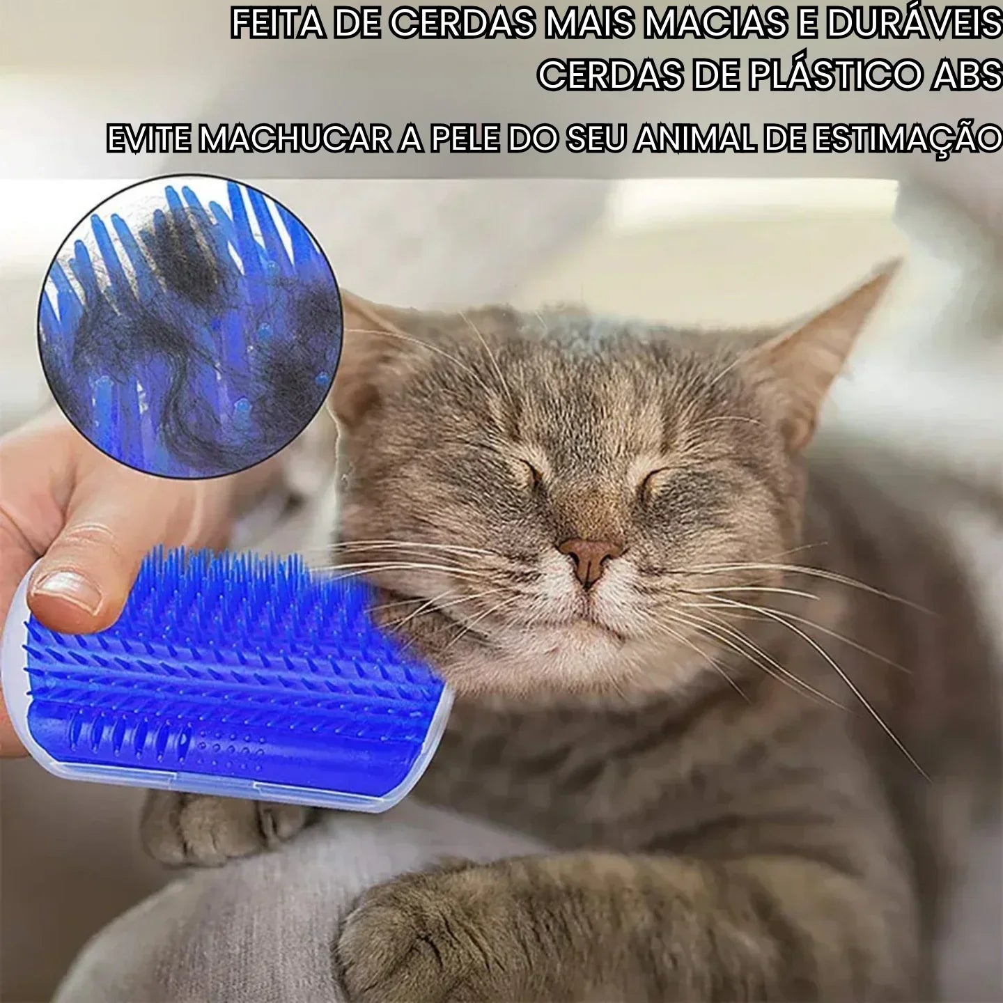 Gato sendo escovado com escova azul de cerdas macias, produto para cuidados com pets