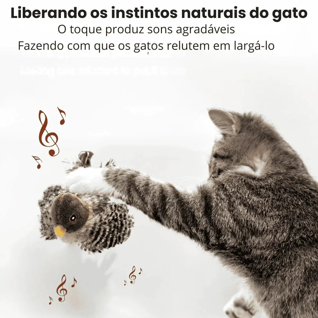 Gato cinza brincando com brinquedo de passarinho, notas musicais ao redor, fundo claro.