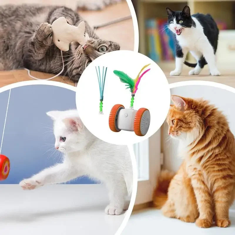 Brinquedo interativo eletrônico para gatos com penas, gatos brincando em casa