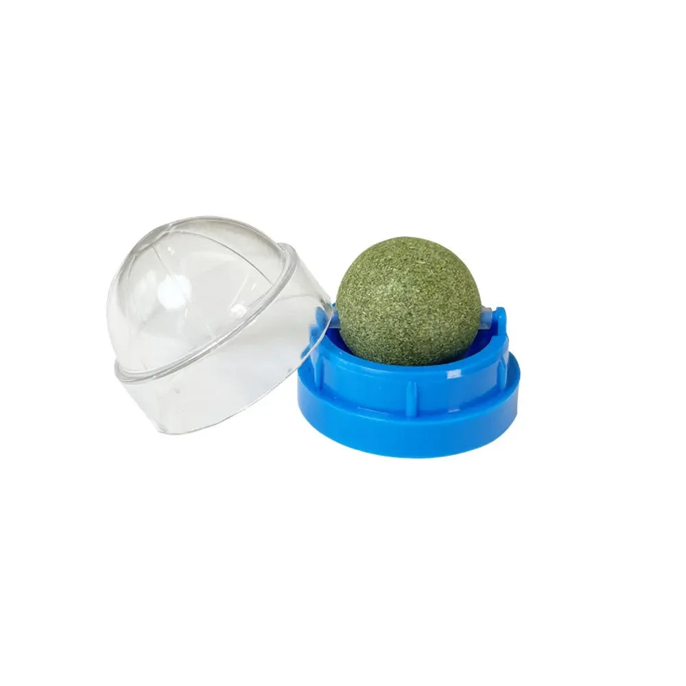 Bola verde de catnip para gatos em suporte azul com tampa transparente, fundo branco.