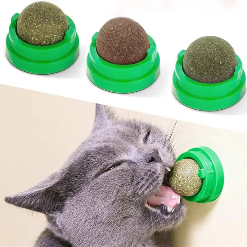 Gato lambendo petisco catnip bola fixado em suporte verde na parede, brinquedo interativo para gatos.