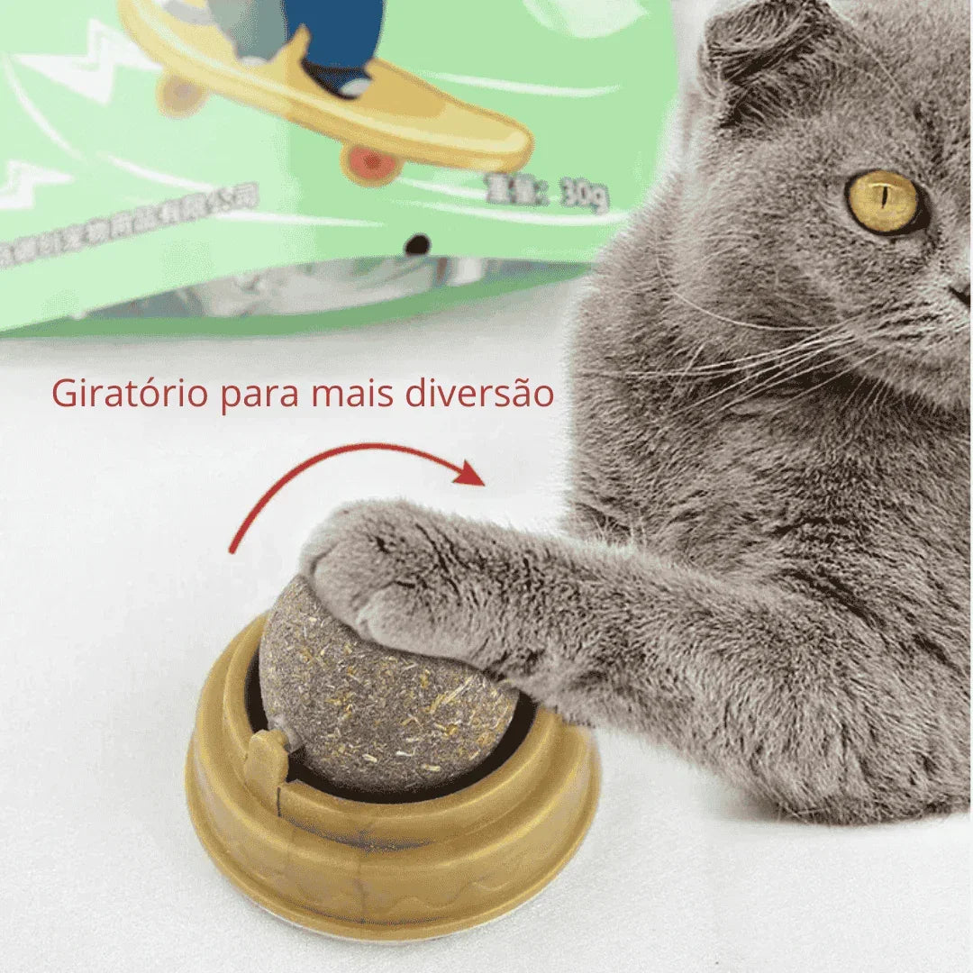 Gato cinza brincando com bola giratória de catnip, brinquedo interativo para gatos.
